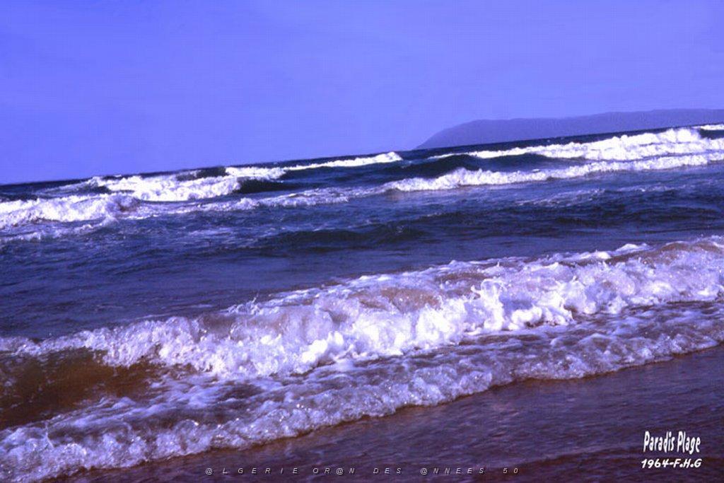 PARADIS PLAGE ET SES VAGUES 1964.JPG